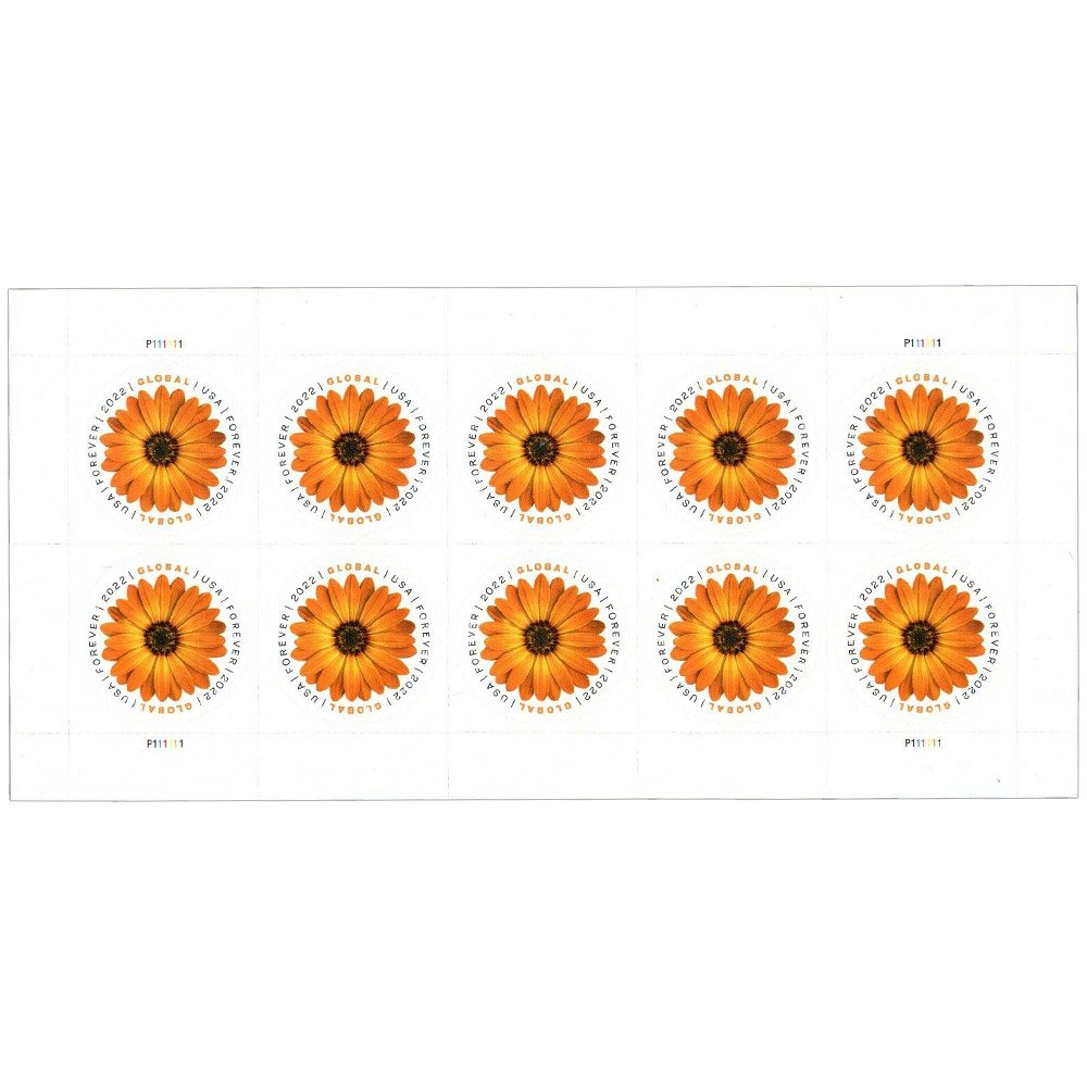 (2022) USPS Global Forever International Mail African Daisy Postage Stamps